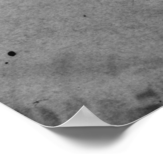 Poster Vérité Sojourner (Coin)