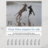 Poster verkoper flyer (Voorkant)