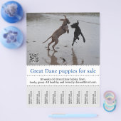 Poster verkoper flyer (Enkel)