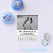 Poster verkoper flyer (Enkel)