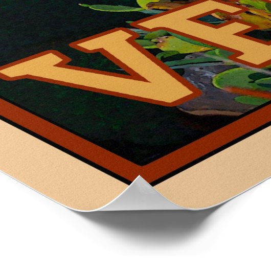 Poster Vernazza (Coin)