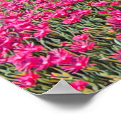 Poster VERNAZZA - Cinque Terre - panorama - Ligurie - (Coin)