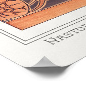 Poster Verneuil, Capucine, Plante, Style Vintage (Coin)