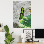 Poster Verre coloré (Bureau à domicile)