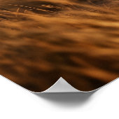 Poster Verre Girafe Savannah Aube (Coin)