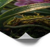 Poster Verre Orchidée Colibri Lueur (Coin)