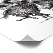 Poster Verrückte Eulen - Chouettes folles (Coin)