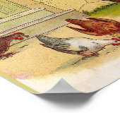 Poster vers 1900 Alimentation de l'impression Poulets (Coin)