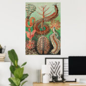 Poster Vers, Annelids Chaetopoda par Ernst Haeckel (Bureau à domicile)