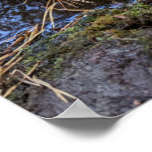 Poster Vers de Desiderata avec feuille tombée sur l'eau (Coin)