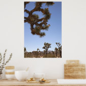 Poster Vers le bas à l'avant (Cuisine)