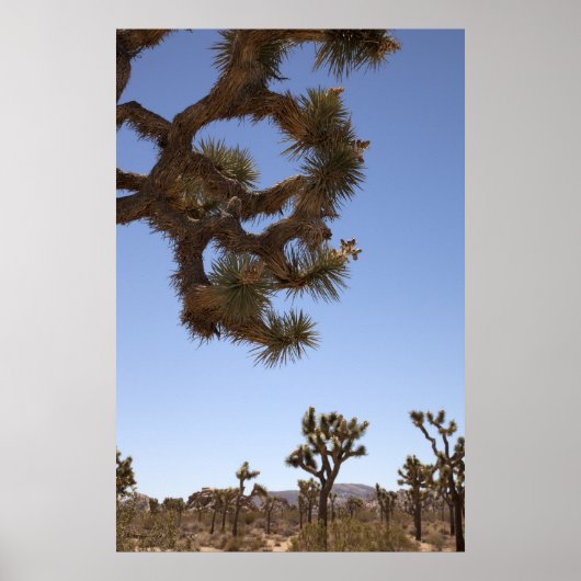 Poster Vers le bas à l'avant (Devant)