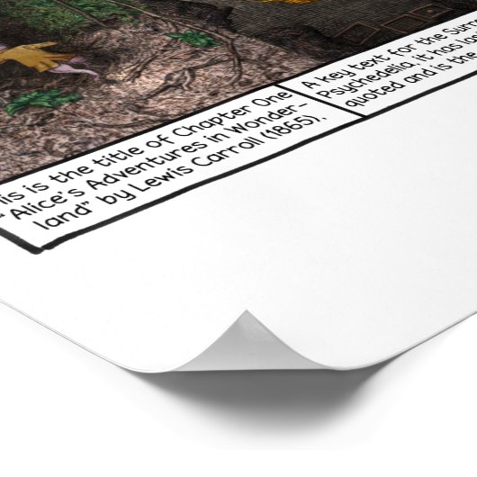 Poster Vers le bas du trou de lapin (Coin)