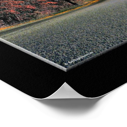 Poster Vers le succès (Coin)