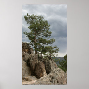 Poster Vers une tempête