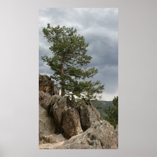 Poster Vers une tempête (Devant)