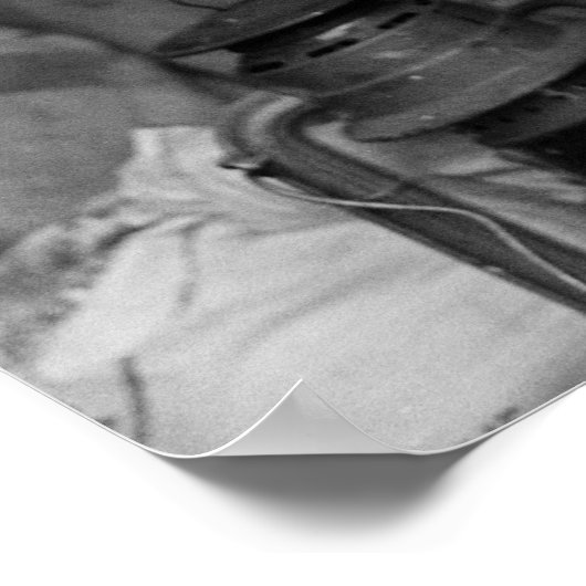 Poster Version alternative de la mère migratrice (Coin)