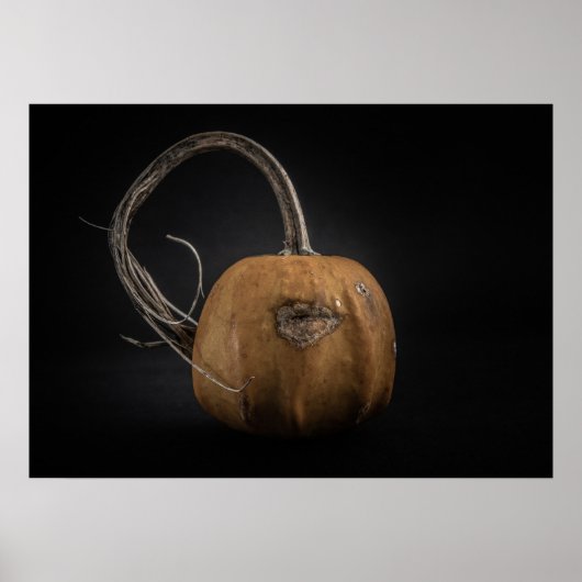 Poster Version couleur Gourds No 15 (Devant)