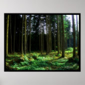 Poster Vert (Devant)