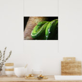 Poster Vert (Cuisine)