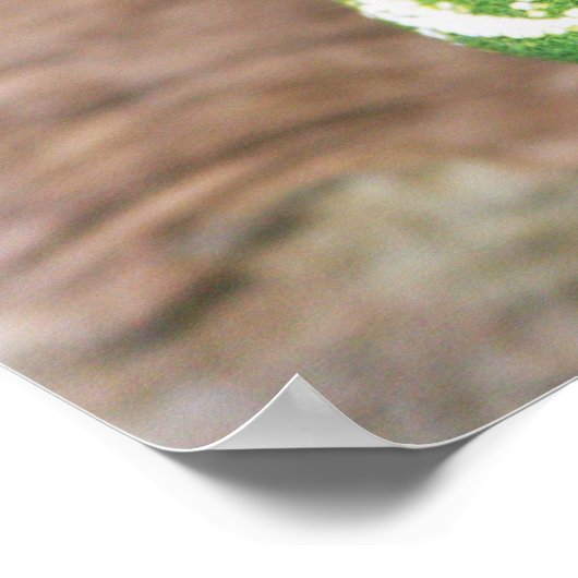 Poster Vert (Coin)