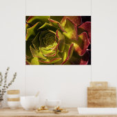 Poster Vert (Cuisine)