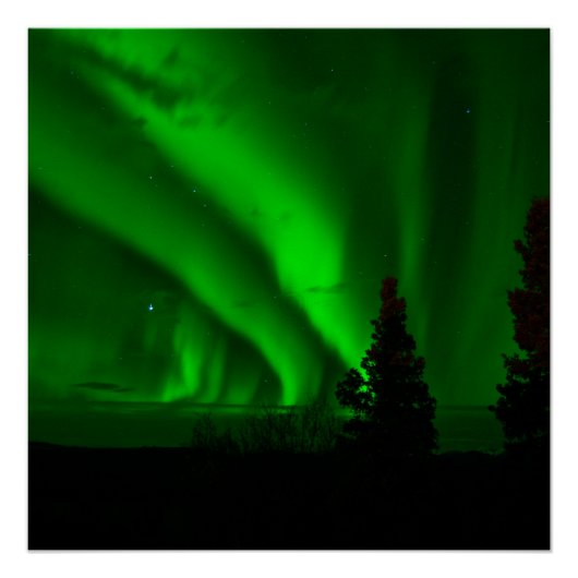 Poster vert aurora-boréal (Devant)