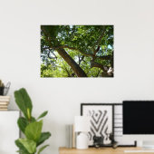 Poster Vert de l'arbre sycomore Nature (Bureau à domicile)