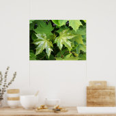 Poster vert du printemps (Cuisine)