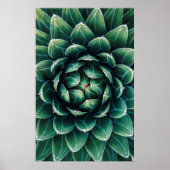 Poster Vert et blanc Succulent (Devant)