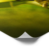 Poster vert et doré de la grenouille Bell (Coin)