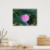 Poster vert et rose (Cuisine)