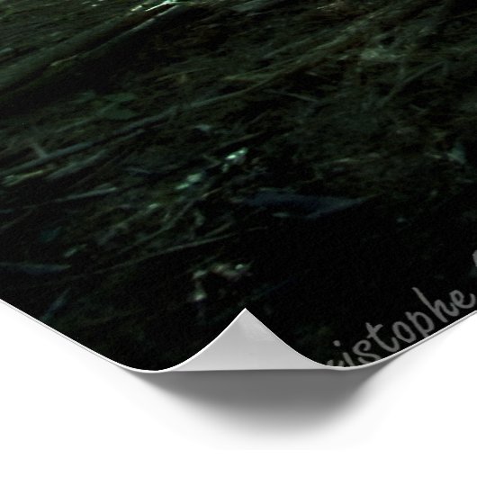 Poster Vert fonçé (Coin)