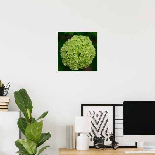 Poster vert Hydrangea (Bureau à domicile)