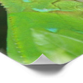 Poster vert Lizard Imprimer (Coin)