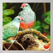 Poster Vert oiseaux (Devant)