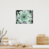 Poster Vert pâle avec violet Succulent Gros plan Photo (Cuisine)