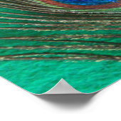 Poster vert Peacock Feather (Coin)