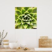 Poster Vert Succulent Gros Plan Cactus (Cuisine)