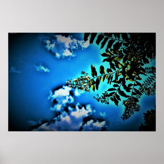 Poster Vert sur bleu, (Devant)