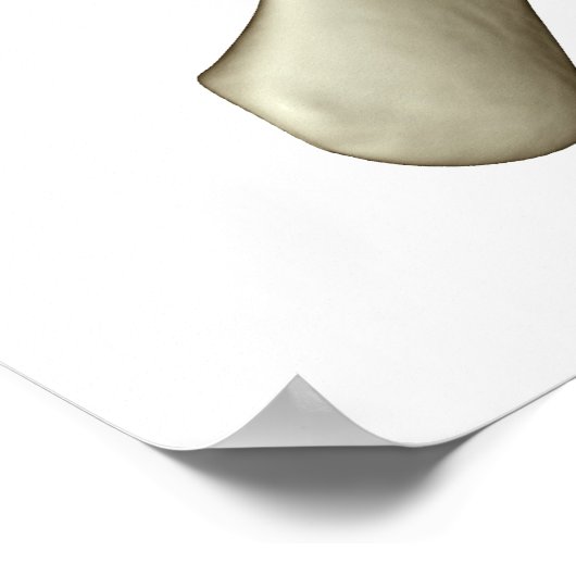 Poster Vertebrae (Coin)