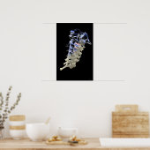 Poster Vertèbre cervicale 4 (Cuisine)