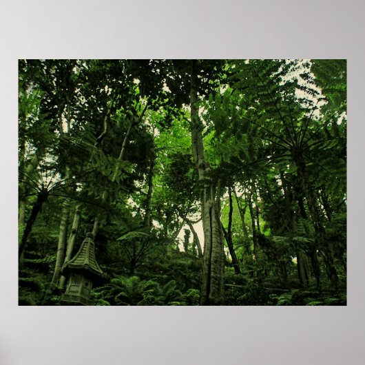 POSTER vertLush (Devant)