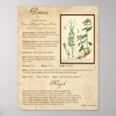 POSTER VERVAIN MAGICK HERB (Devant)