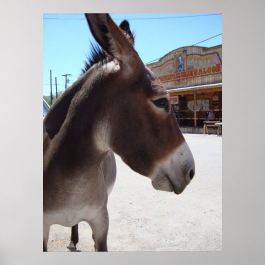 Poster Veste (Devant)