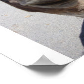 Poster Veste 002 (Coin)