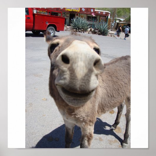 Poster Veste 002 (Devant)