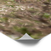 Poster Veste dans l'herbe (Coin)