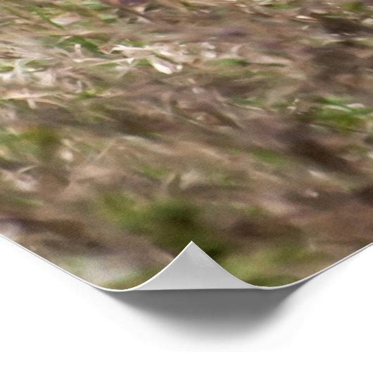 Poster Veste dans l'herbe (Coin)