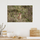 Poster Veste dans l'herbe (Cuisine)